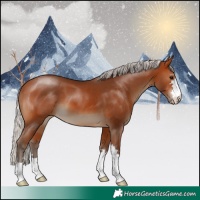Horse Color:Silver Brown 