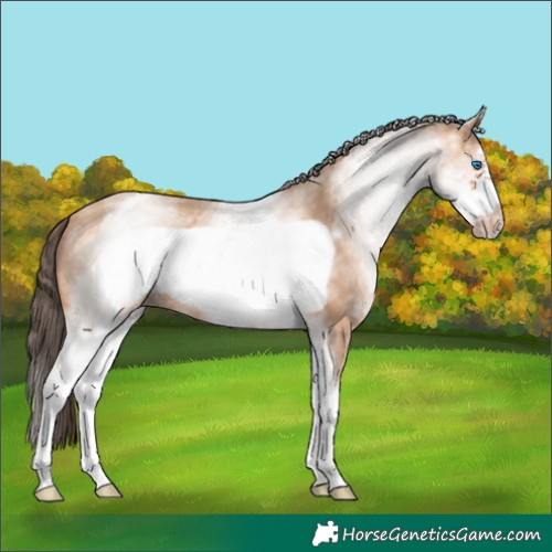 Horse Color:White Spotted Amber Champagne Frame 