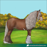 Horse Color:Gray Silver Black Pearl Tobiano