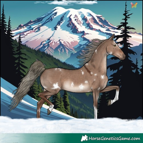 Horse Color:White Spotted Liver Red Dun Mushroom Tobiano Rabicano 