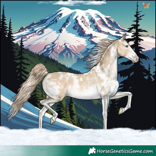 Horse Color:White Spotted Chocolate Palomino Dun Mushroom Rabicano Brindle 