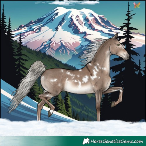 Horse Color:White Spotted Liver Red Dun Mushroom Rabicano 