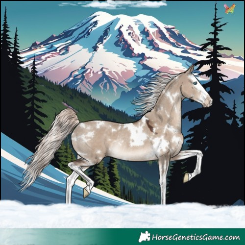Horse Color:White Spotted Liver Red Dun Mushroom Splash Rabicano 