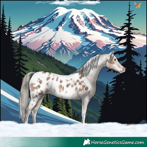 Horse Color:White Spotted Liver Red Dun Mushroom Appaloosa Rabicano 