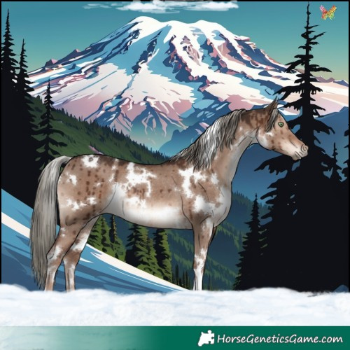 Horse Color:White Spotted Liver Red Dun Mushroom Rabicano Brindle 