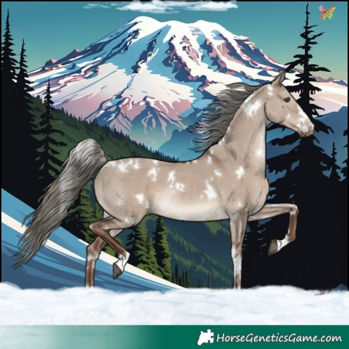 Horse Color:White Spotted Liver Red Dun Mushroom Rabicano 