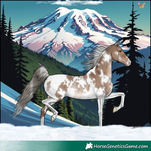 Horse Color:White Spotted Liver Red Dun Mushroom Tobiano Rabicano 
