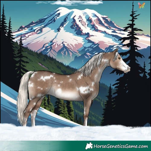 Horse Color:White Spotted Liver Red Dun Mushroom Sabino Rabicano 