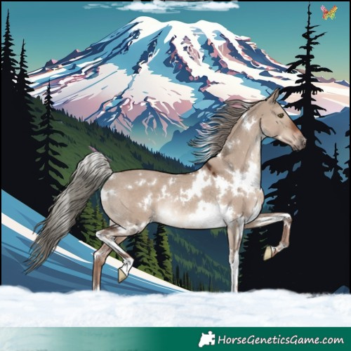 Horse Color:White Spotted Liver Red Dun Mushroom Rabicano 