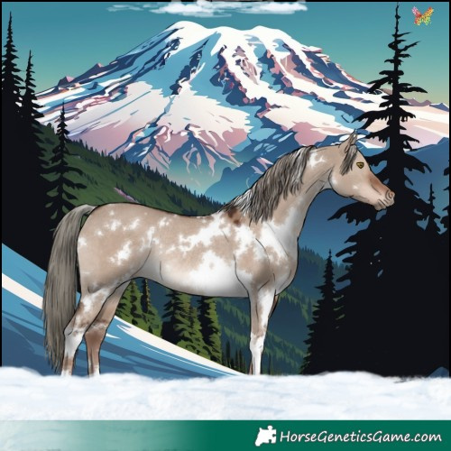 Horse Color:White Spotted Liver Red Dun Mushroom Rabicano 