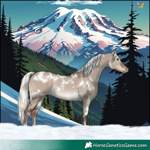 Horse Color:White Spotted Liver Red Dun Mushroom Rabicano 