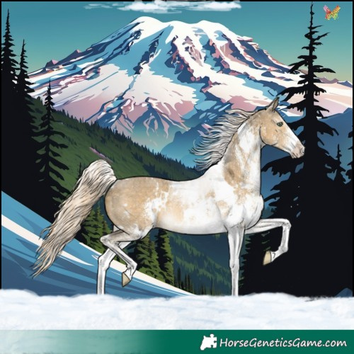 Horse Color:White Spotted Chocolate Palomino Dun Mushroom Rabicano 