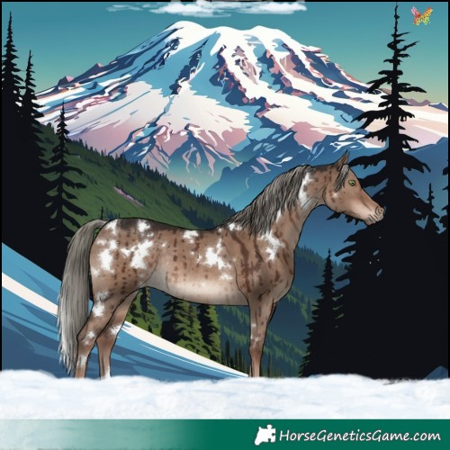 Horse Color:White Spotted Liver Red Dun Mushroom Rabicano Brindle 