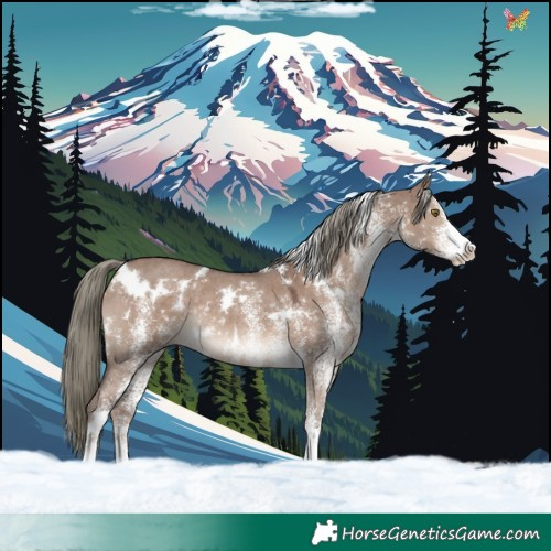 Horse Color:White Spotted Liver Red Dun Mushroom Rabicano 