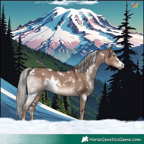 Horse Color:White Spotted Liver Red Dun Mushroom Rabicano 
