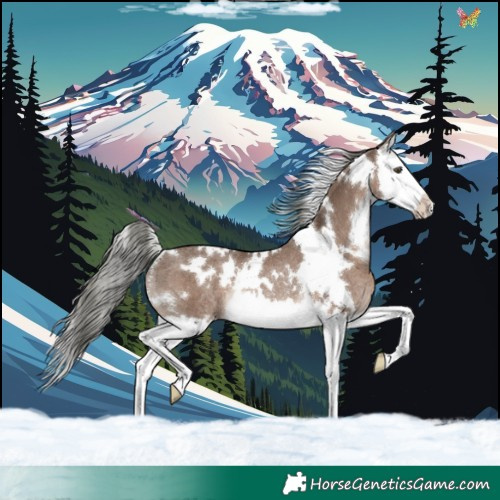 Horse Color:White Spotted Liver Red Dun Mushroom Splash Rabicano 