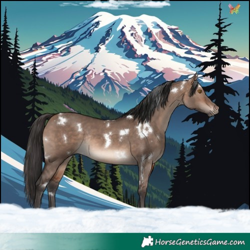 Horse Color:White Spotted Bay Dun Mushroom Rabicano 