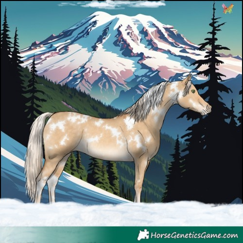 Horse Color:White Spotted Palomino Dun Mushroom Rabicano 