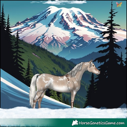 Horse Color:White Spotted Liver Red Dun Mushroom Rabicano 