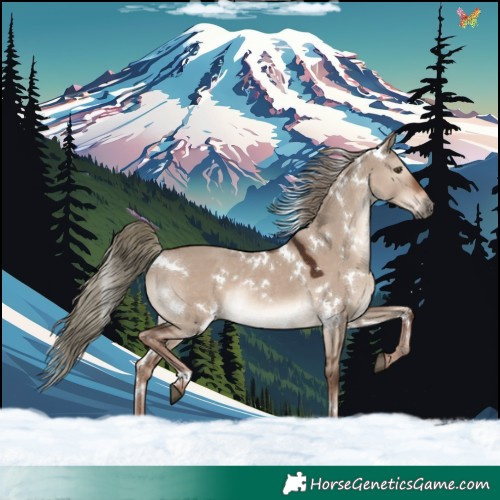 Horse Color:White Spotted Liver Red Dun Mushroom Rabicano 