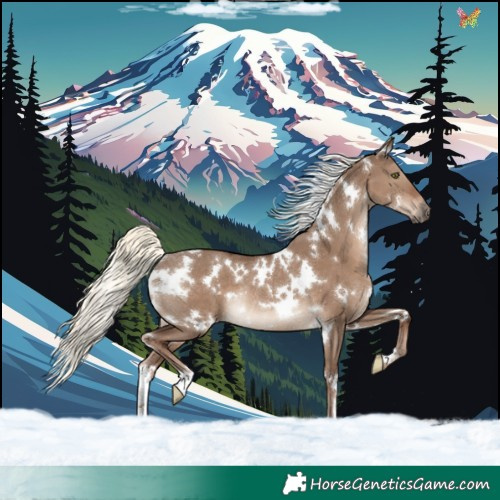 Horse Color:White Spotted Liver Red Dun Mushroom Rabicano 