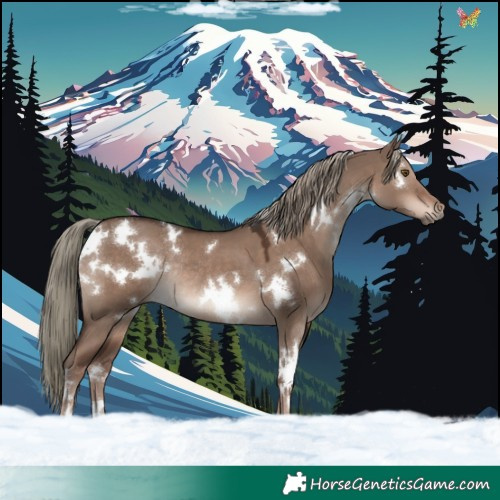 Horse Color:White Spotted Liver Red Dun Mushroom Rabicano 