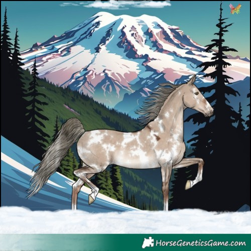 Horse Color:White Spotted Liver Red Dun Mushroom Rabicano 