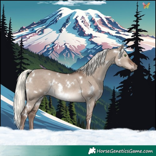 Horse Color:White Spotted Liver Red Dun Mushroom Rabicano 