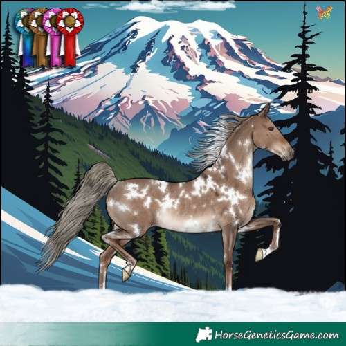 Horse Color:White Spotted Liver Red Dun Mushroom Rabicano 