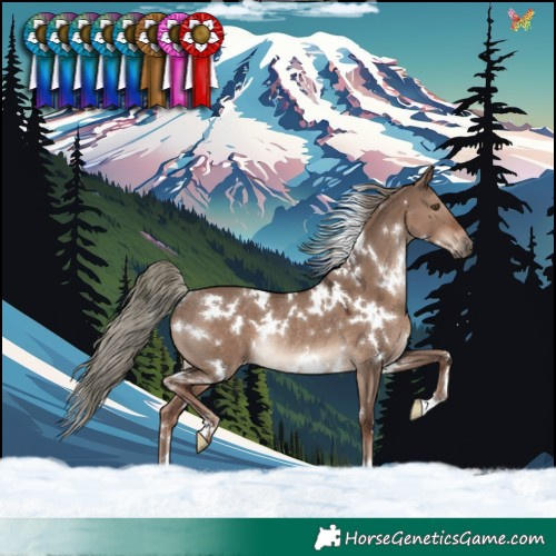 Horse Color:White Spotted Liver Red Dun Mushroom Rabicano 
