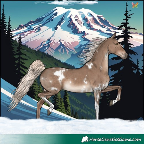 Horse Color:White Spotted Liver Red Dun Mushroom Tobiano Rabicano 