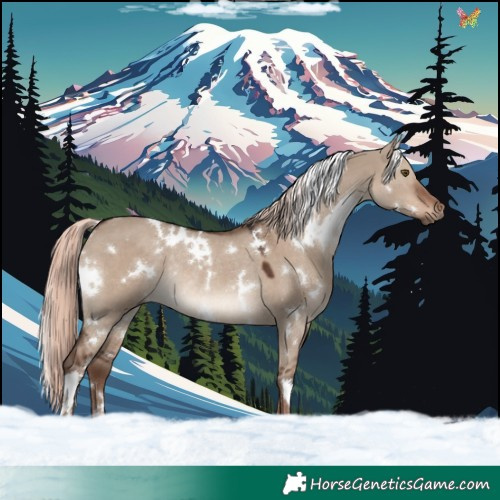 Horse Color:White Spotted Liver Red Dun Mushroom Rabicano 