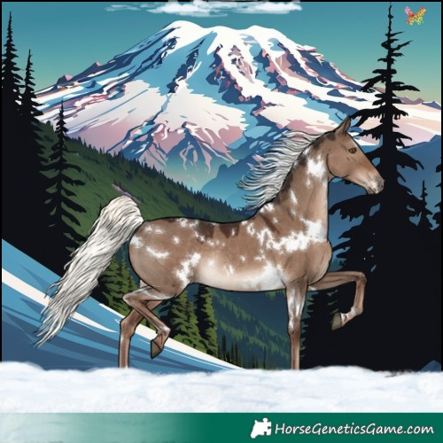 Horse Color:White Spotted Liver Red Dun Mushroom Rabicano 