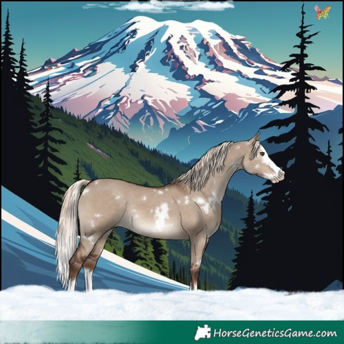 Horse Color:White Spotted Liver Red Dun Mushroom Splash Rabicano 