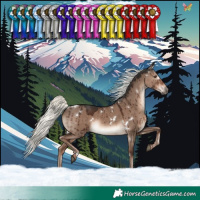 Horse Color:White Spotted Liver Red Dun Mushroom Rabicano Brindle