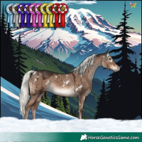 Horse Color:White Spotted Liver Red Dun Mushroom Rabicano Brindle 