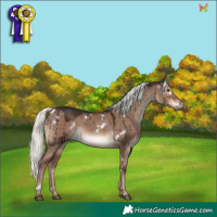 Horse Color:White Spotted Liver Red Dun Mushroom Rabicano Brindle 