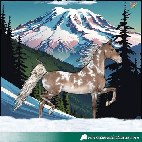 Horse Color:White Spotted Liver Red Dun Mushroom Rabicano 