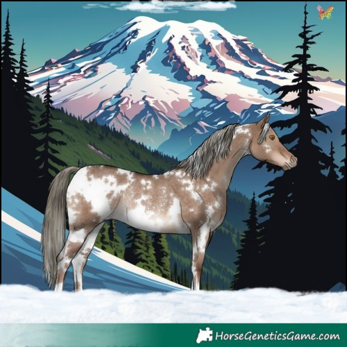 Horse Color:White Spotted Liver Red Dun Mushroom Rabicano 