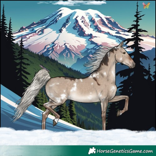 Horse Color:White Spotted Liver Red Dun Mushroom Rabicano 