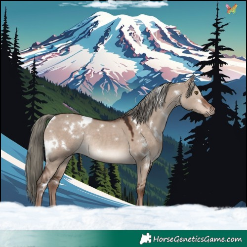 Horse Color:White Spotted Liver Red Dun Mushroom Rabicano 