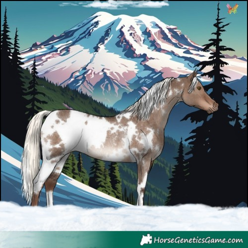 Horse Color:White Spotted Liver Red Dun Mushroom Rabicano 