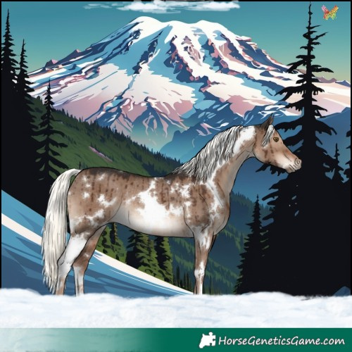 Horse Color:White Spotted Liver Red Dun Mushroom Rabicano Brindle 