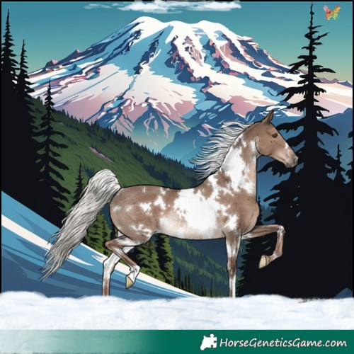 Horse Color:White Spotted Liver Red Dun Mushroom Rabicano 
