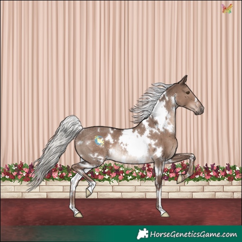 Horse Color:White Spotted Liver Red Dun Mushroom Rabicano 