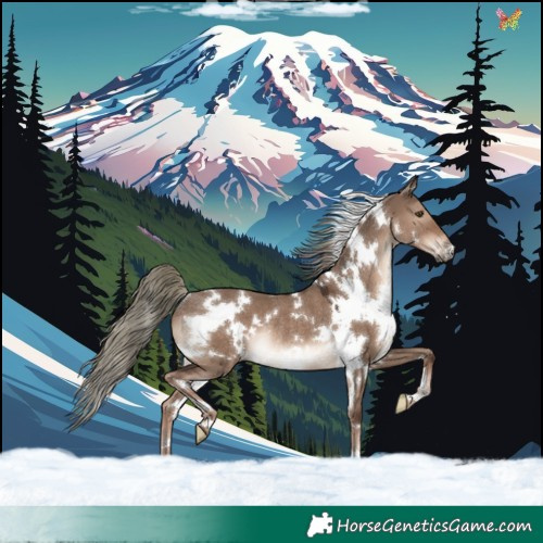 Horse Color:White Spotted Liver Red Dun Mushroom Rabicano 