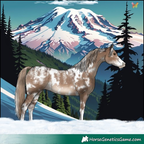 Horse Color:Powder White White Spotted Liver Red Dun Rabicano 