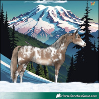 Horse Color:Powder White White Spotted Liver Red Dun Rabicano 