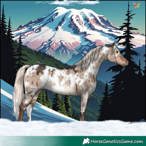 Horse Color:White Spotted Liver Red Dun Mushroom Rabicano Brindle 