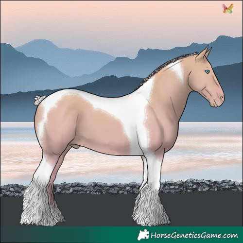 Horse Color:Silver Perlino Dun Tobiano 
